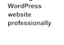 design or redesign stunning wordpress website